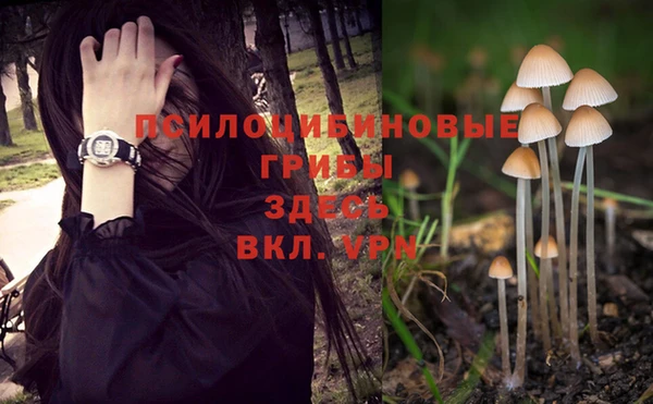 МДМА Анива
