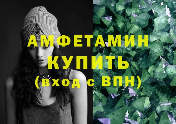 индика Апатиты