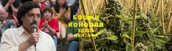 трава Мегион