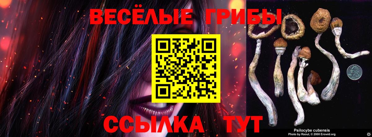 Псилоцибиновые грибы Magic Shrooms Шатура