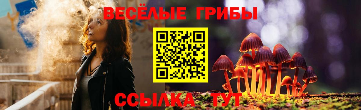 Галлюциногенные грибы GOLDEN TEACHER  Шатура 